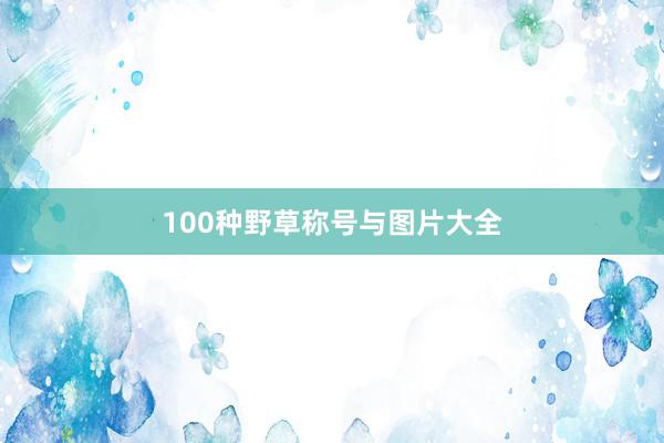 100种野草称号与图片大全